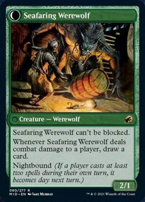 Suspicious Stowaway (Back)