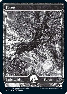 Forest (Moonlit Land) (Foil Etched)