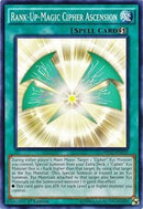 Rank-Up-Magic Cipher Ascension [MP17-EN210] Common