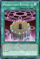 Prediction Ritual [DLCS-EN087] Common