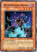 Regenerating Mummy [DR2-EN192] Common