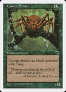 Canopy Spider [Anthologies]